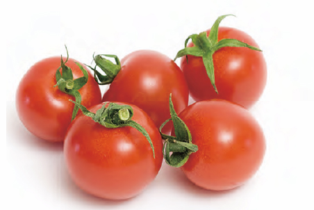 沖縄産トマト